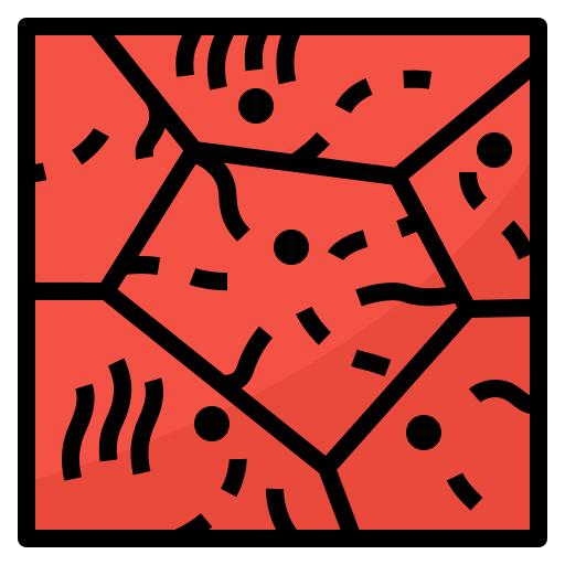 Cells