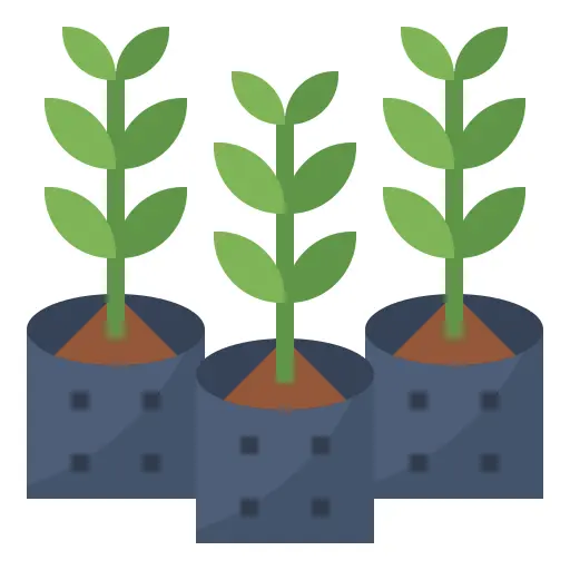 Growth