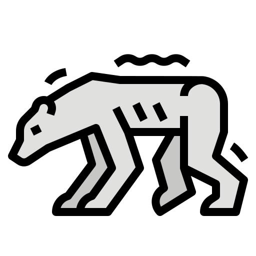 Polar bear
