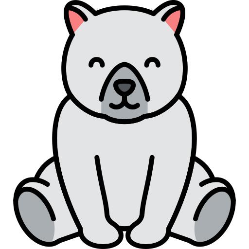 Polar bear