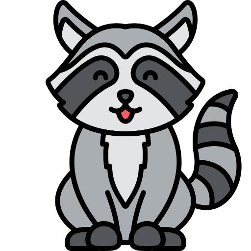 Raccoon