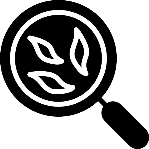 菌