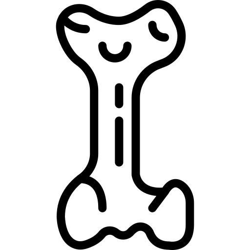 Femur