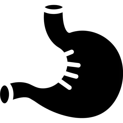 胃