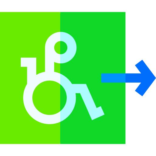 Disabled person