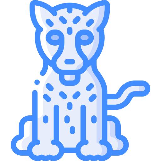 猎豹