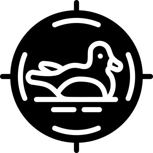 目标