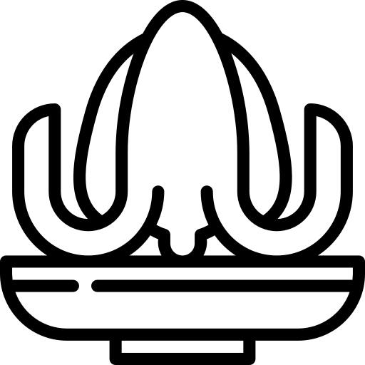 Squid