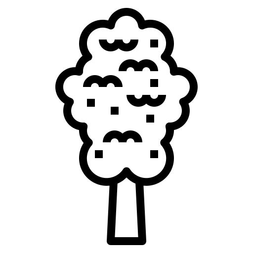Elm
