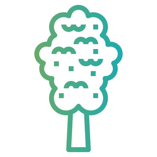 Elm