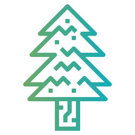 Pine