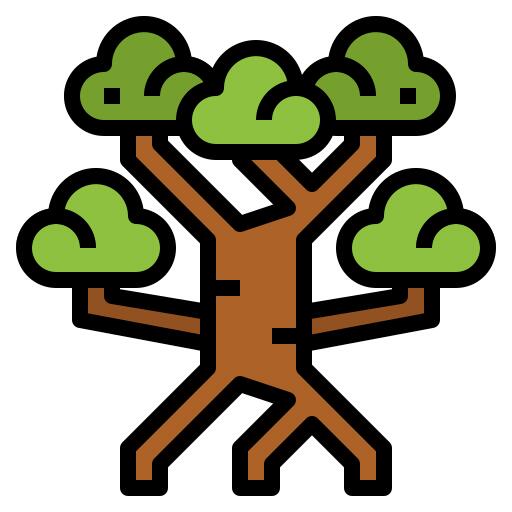 Mangrove