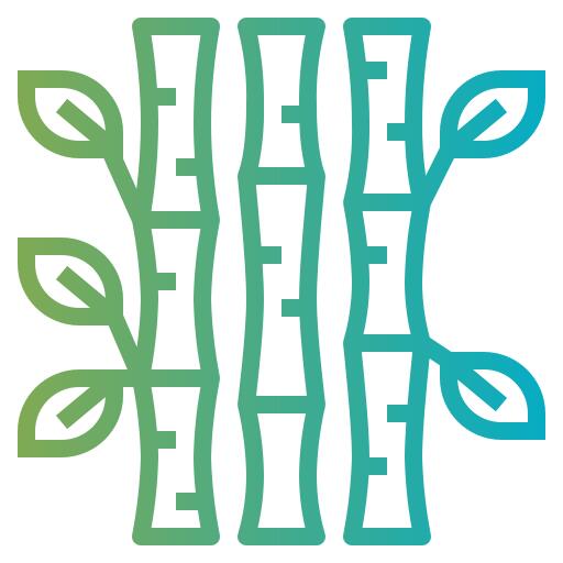 Bamboo