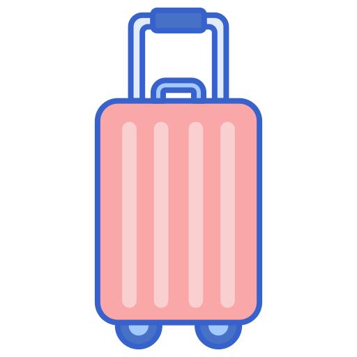 Luggage