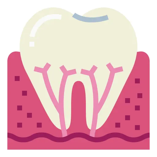 Tooth