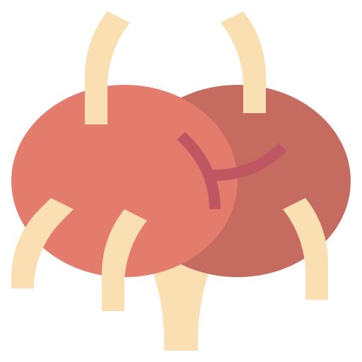 Lymph nodes
