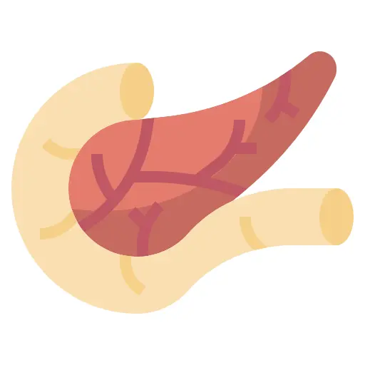 Pancreas
