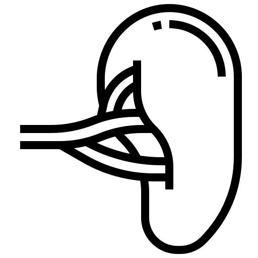Spleen