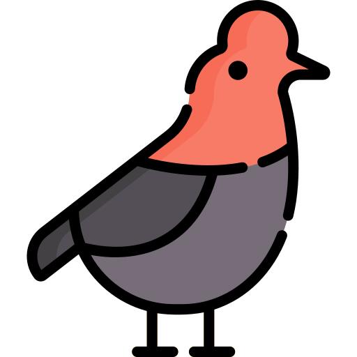 Bird