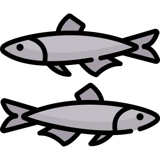 Anchovy