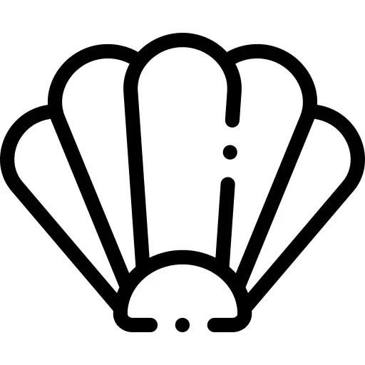 贝壳
