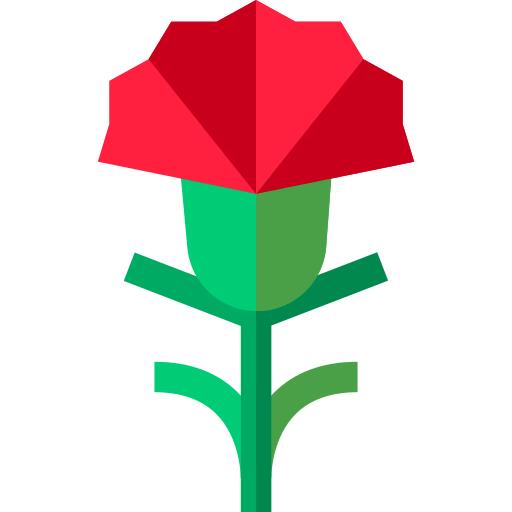 Carnation