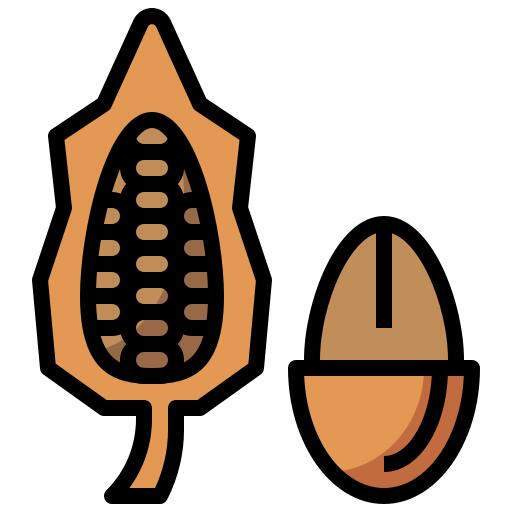 Cacao