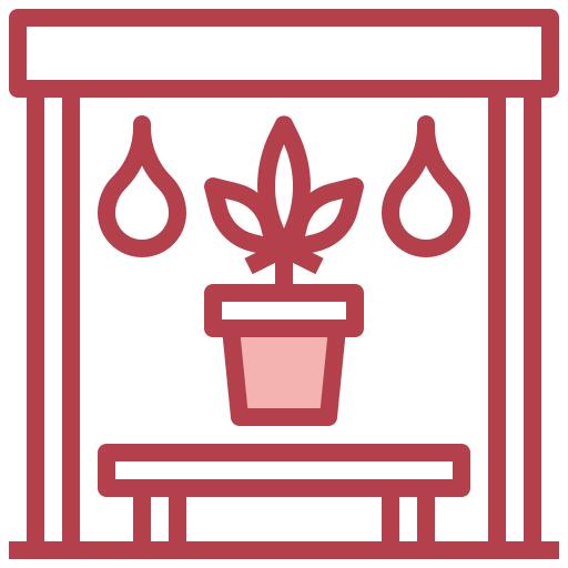 Marijuana