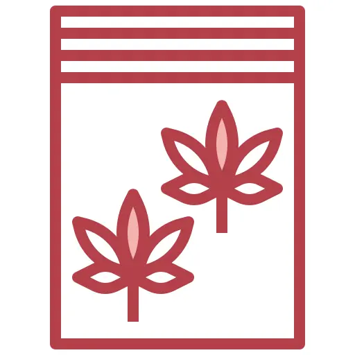 大麻