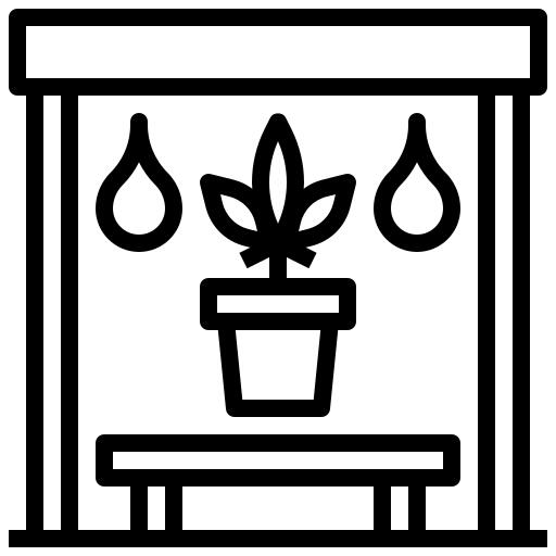 Marijuana
