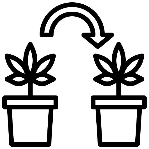 Cloning