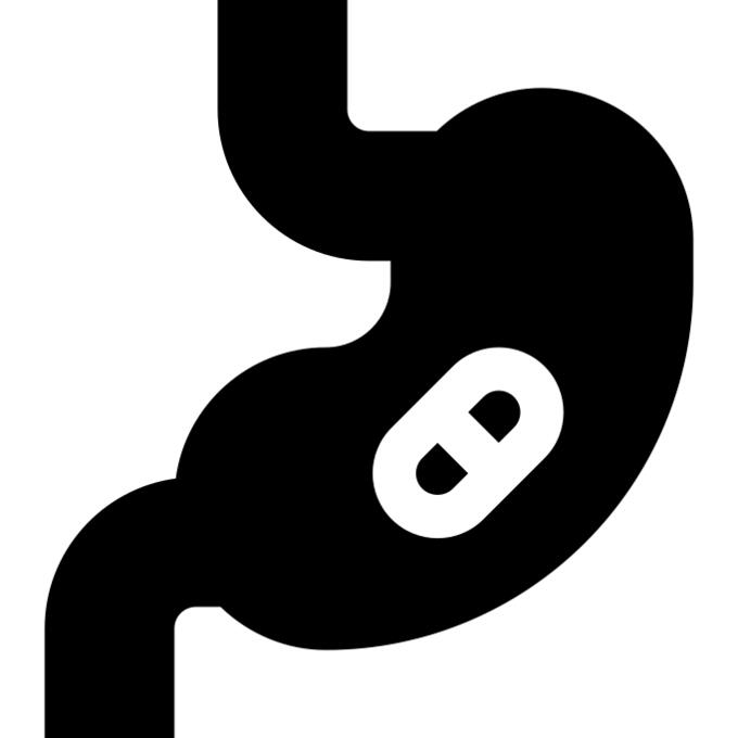 Stomach