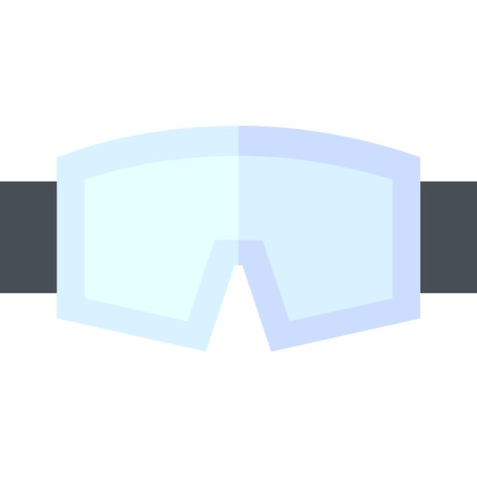 Safety googles