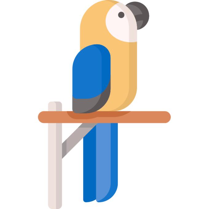 Parrot