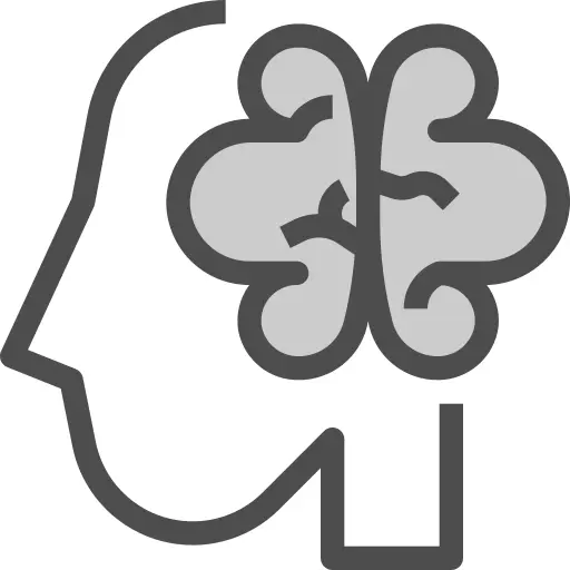 Brain