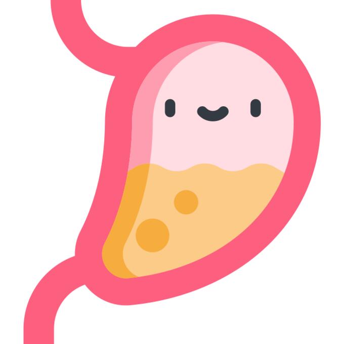 Stomach