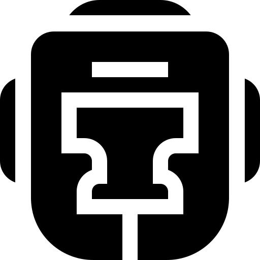 Boxing helmet