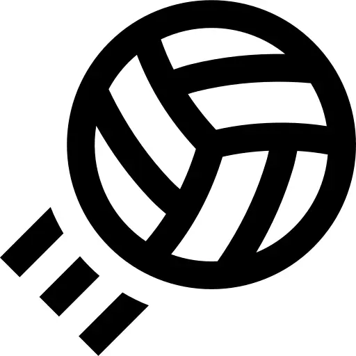 Volleyball