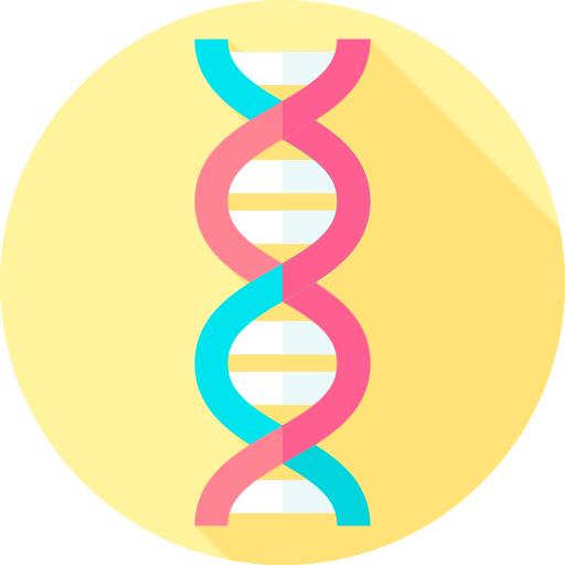 脱氧核糖核酸