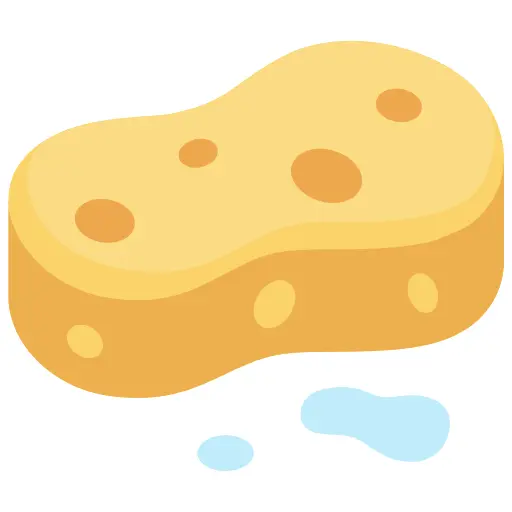 Sponge