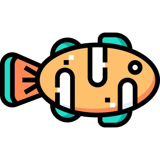 小丑鱼