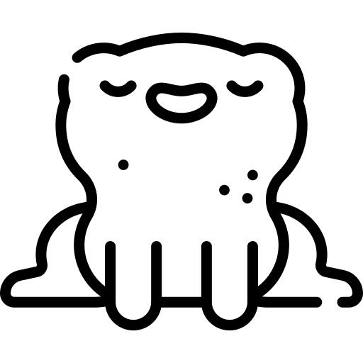 青蛙