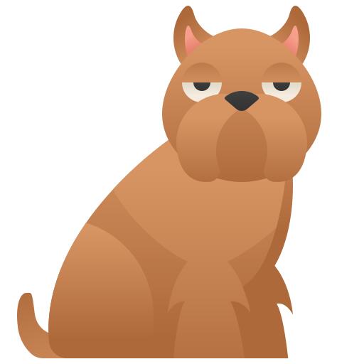 Brussels griffon