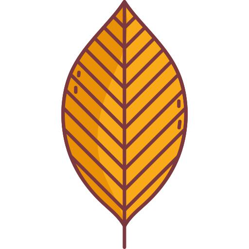 Leaf