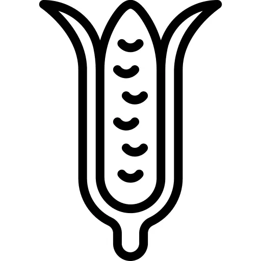 Corn
