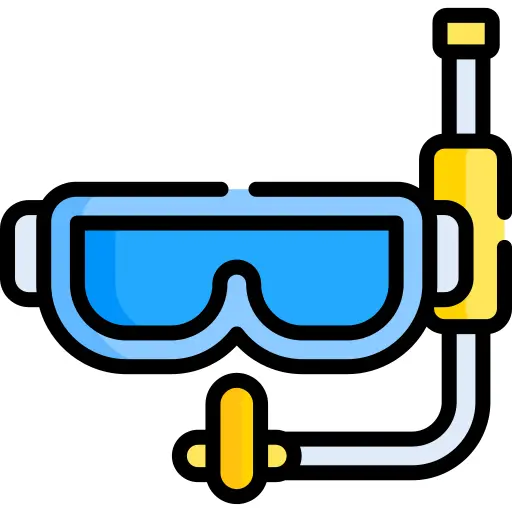 Googles
