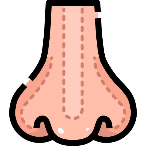 Rhinoplasty