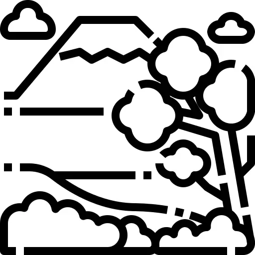 山