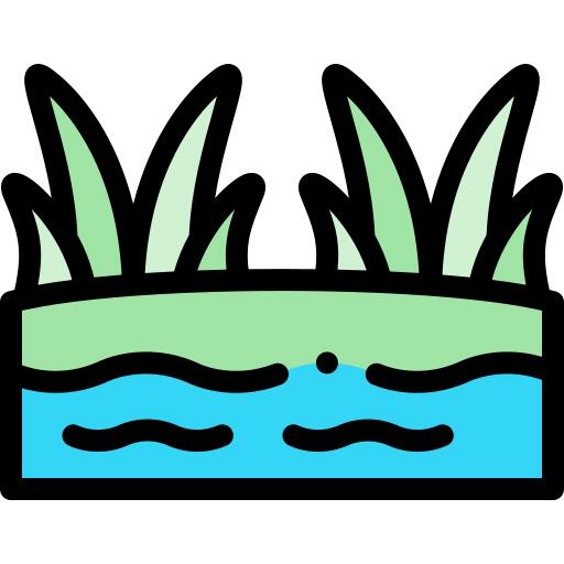 沼泽