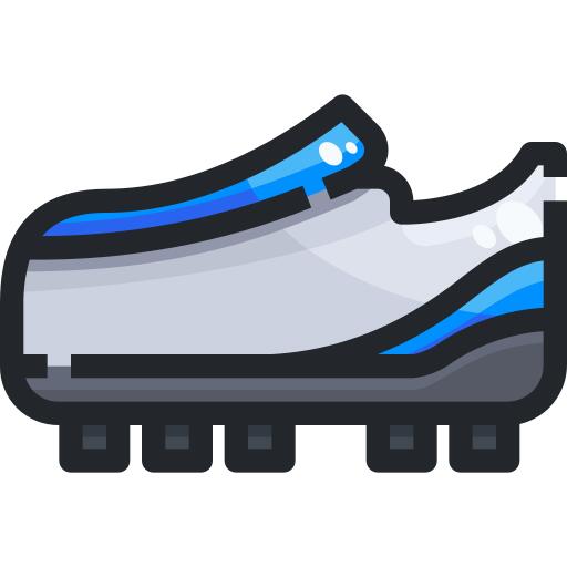 Shoe